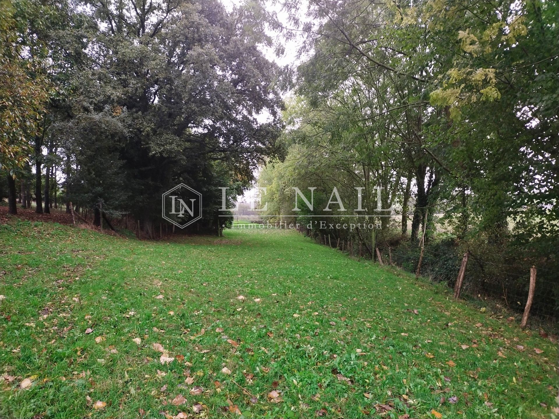 maison de maître 10 pièces en vente à CHATEAU GONTIER (53200)