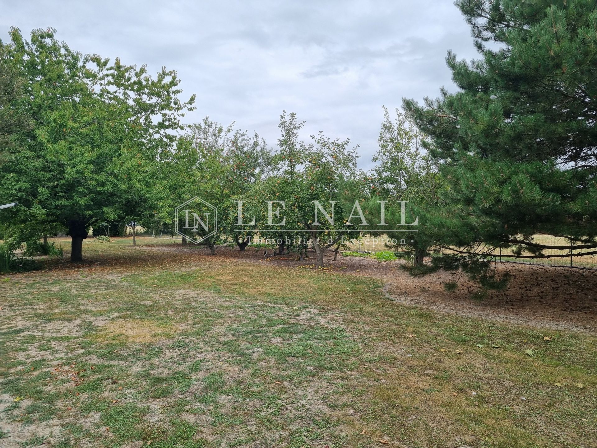 property 10 rooms for sale on MONTRESOR (37460)