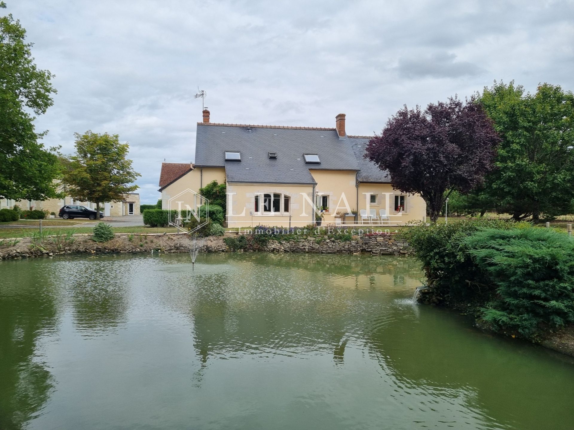 property 10 rooms for sale on MONTRESOR (37460)