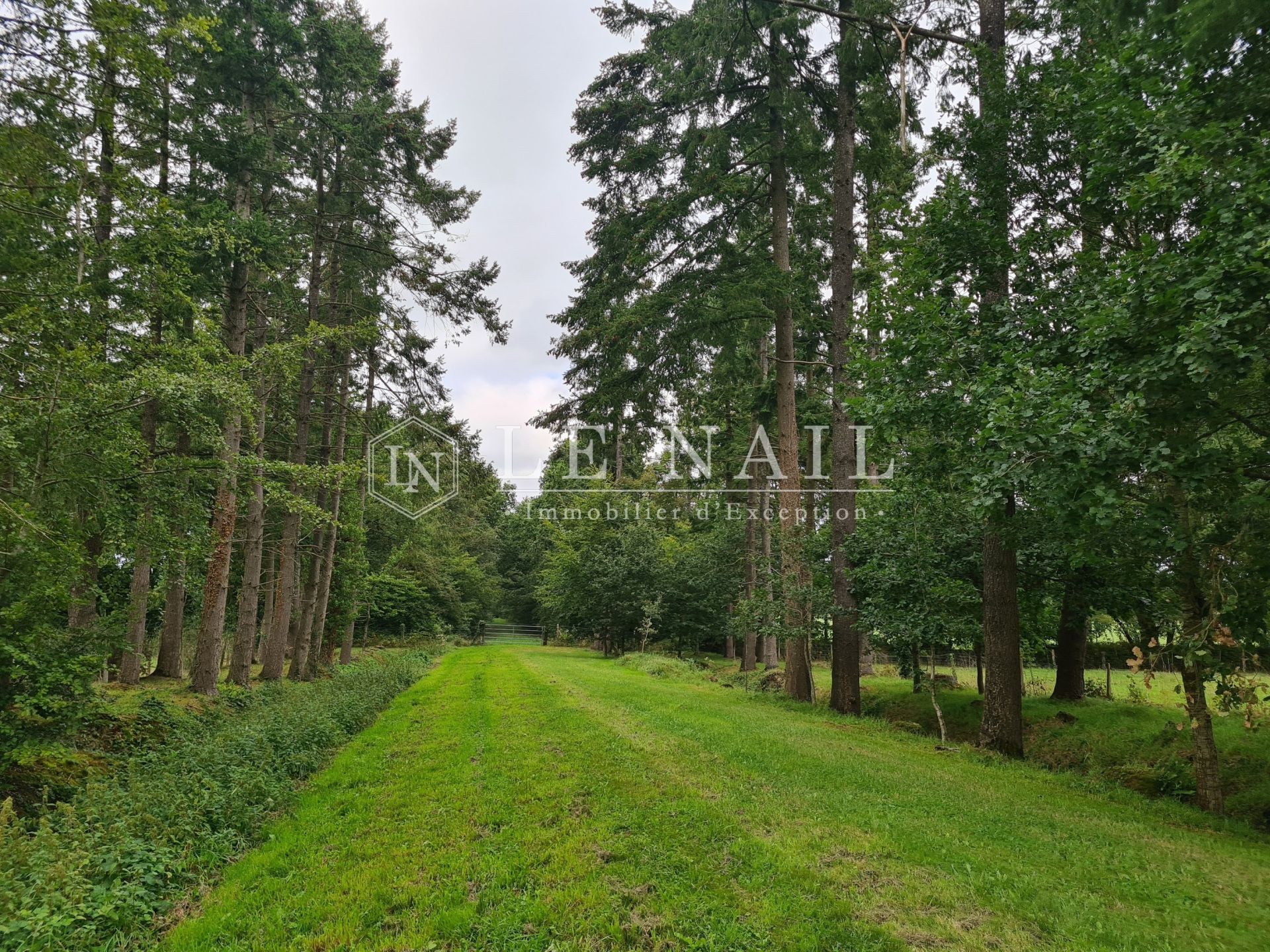 castle 11 rooms for sale on ST LO (50000)