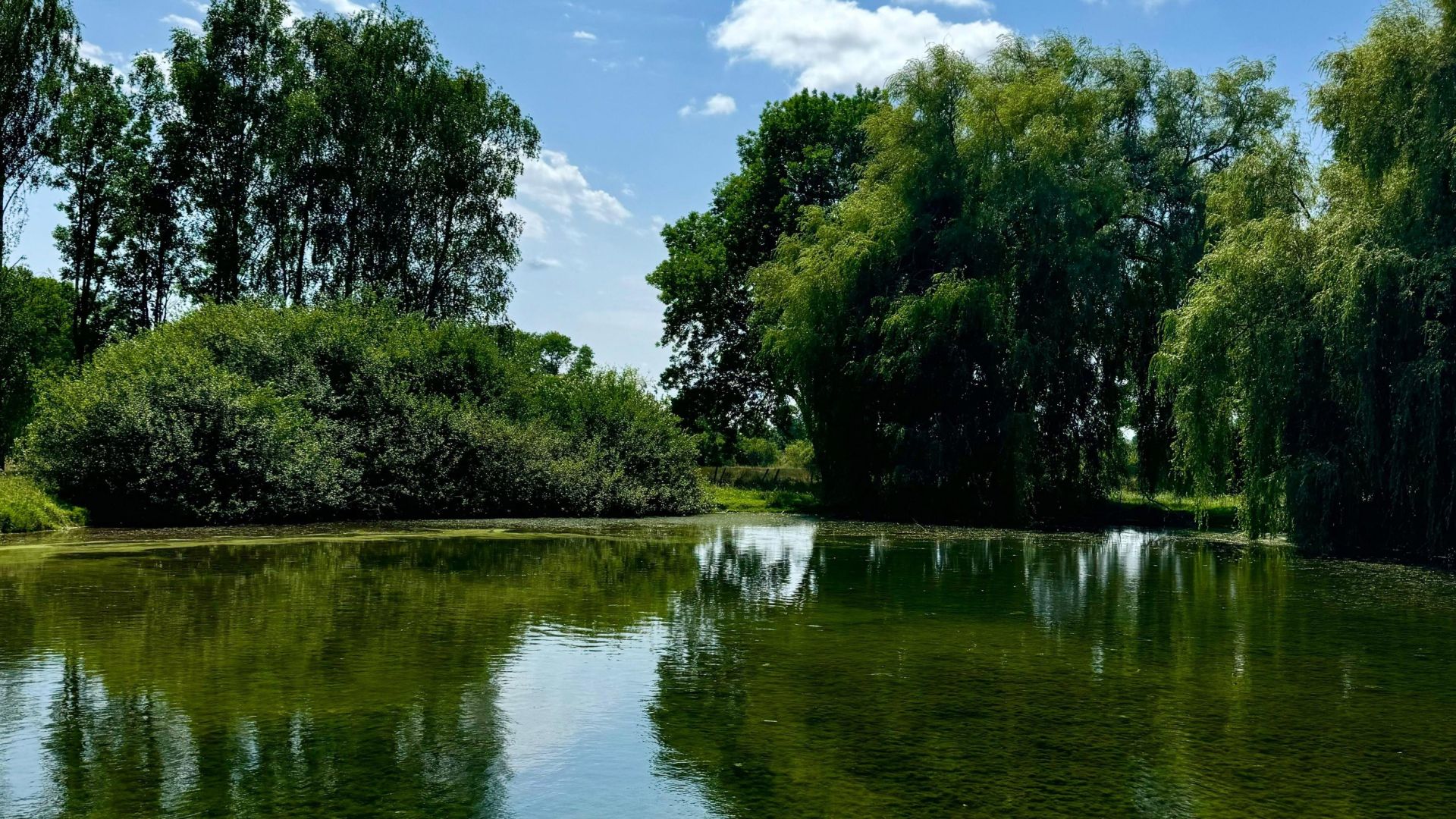 castle 10 rooms for sale on MONTBARD (21500)