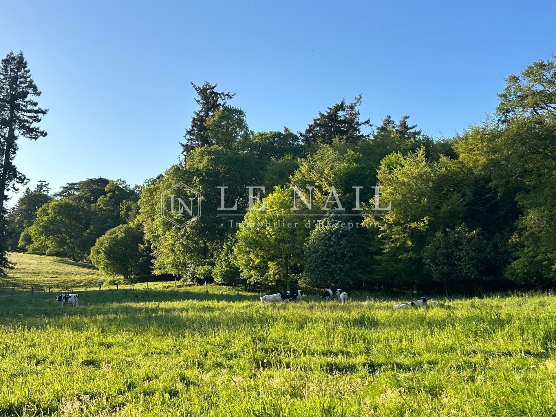 castle 30 rooms for sale on ST MARTIN SUR OUST (56200)