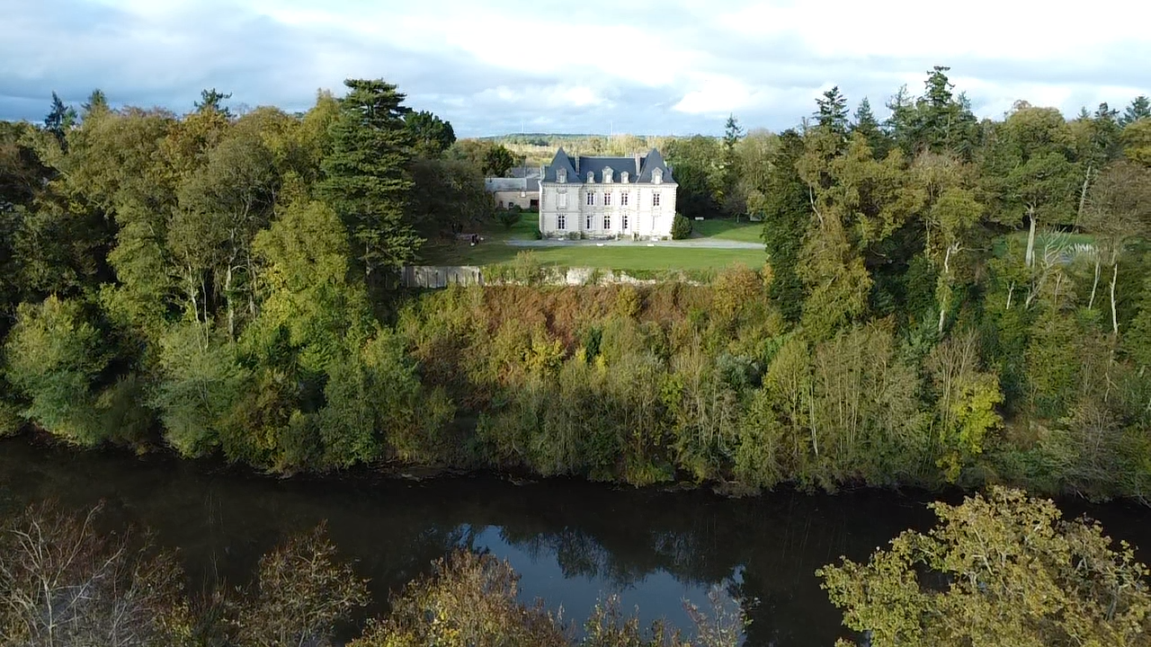 castle 30 rooms for sale on ST MARTIN SUR OUST (56200)