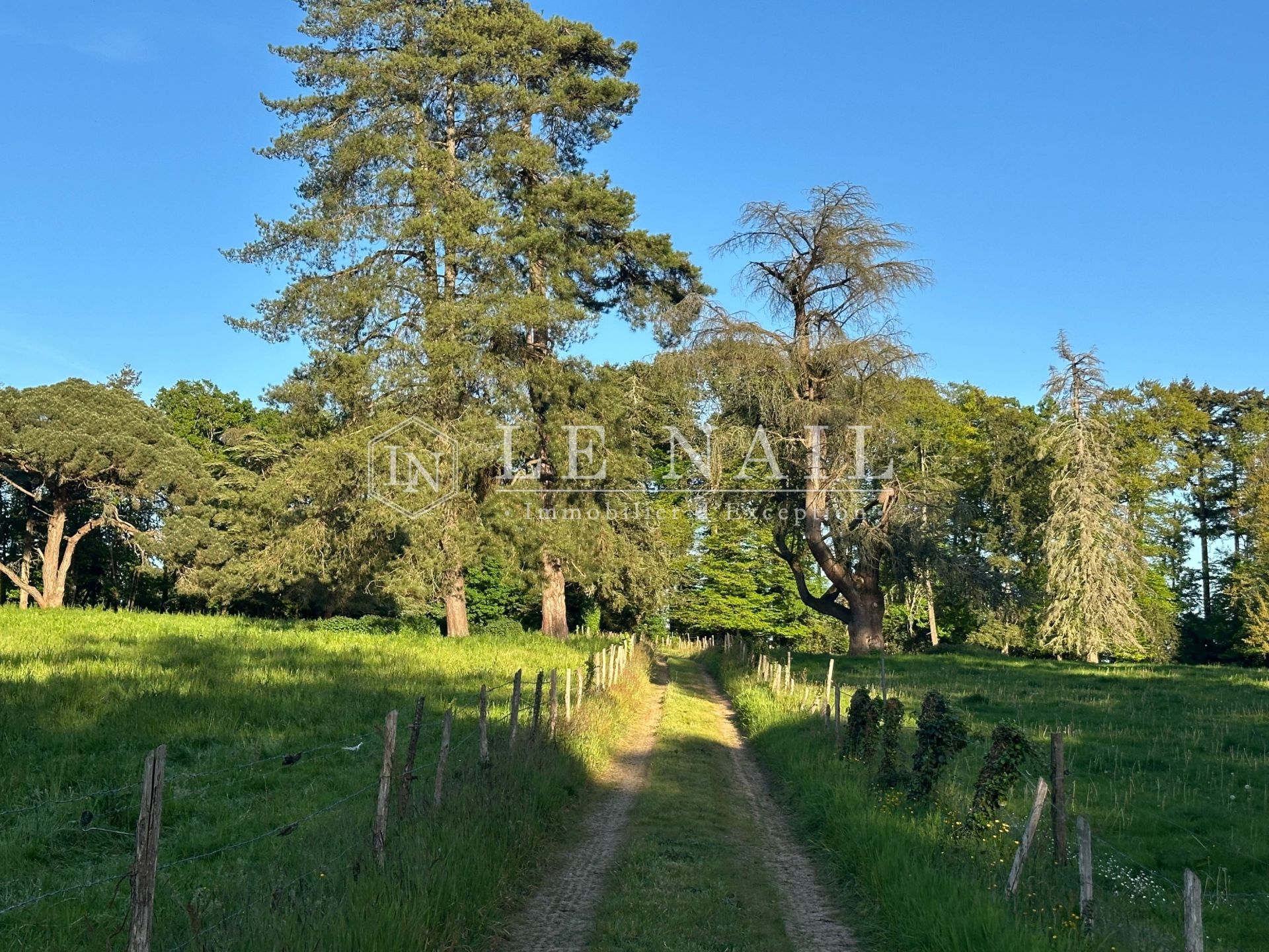 château 30 pièces en vente à ST MARTIN SUR OUST (56200)