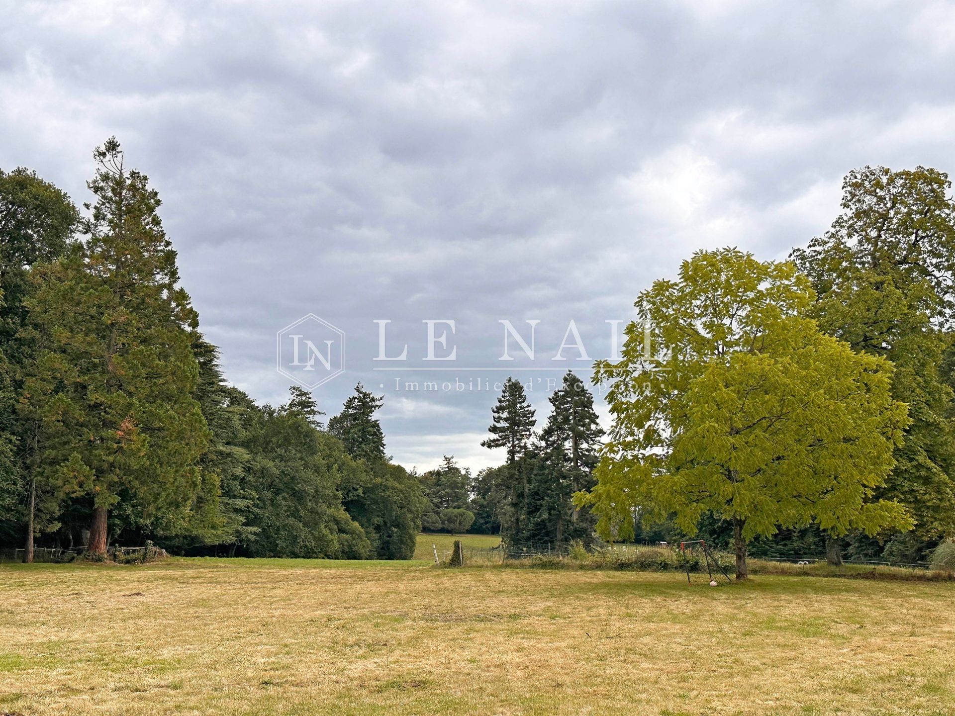 castle 30 rooms for sale on ST MARTIN SUR OUST (56200)