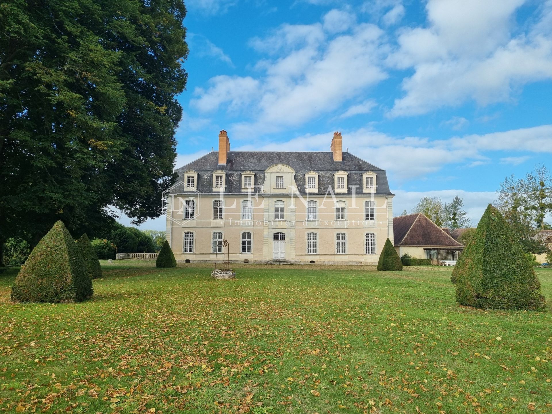 château 22 pièces en vente à LA FLECHE (72200)