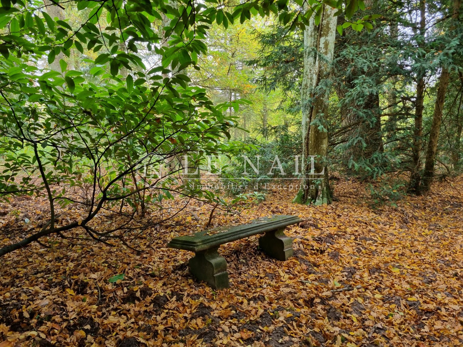 property 10 rooms for sale on LAMOTTE BEUVRON (41600)