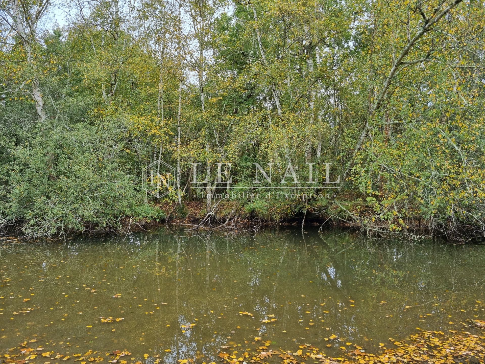 propriété 10 pièces en vente à LAMOTTE BEUVRON (41600)