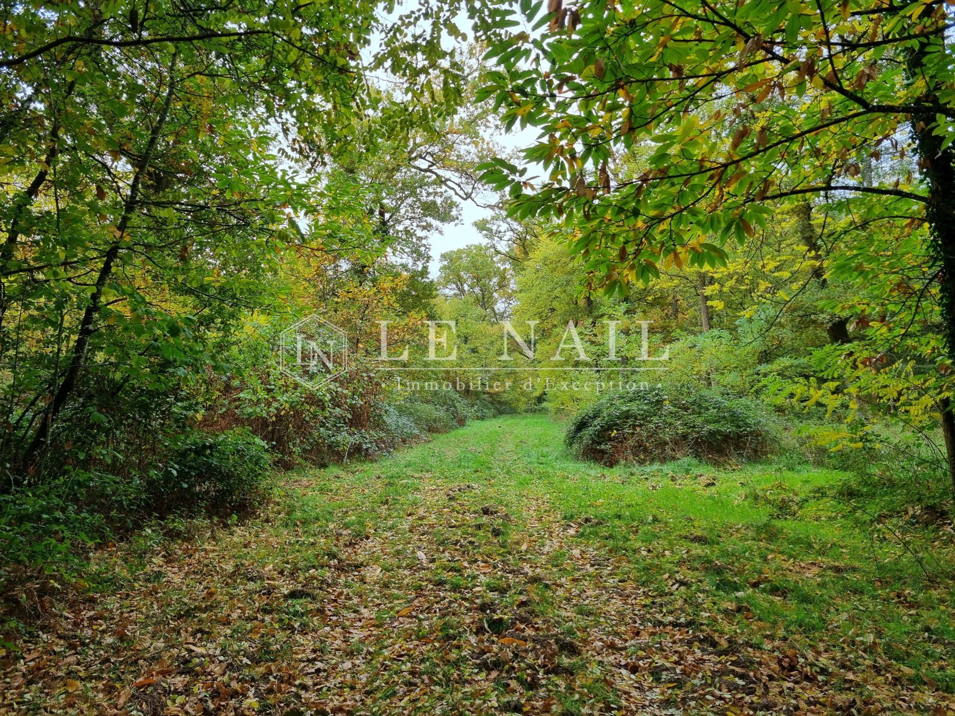 property 10 rooms for sale on LAMOTTE BEUVRON (41600)