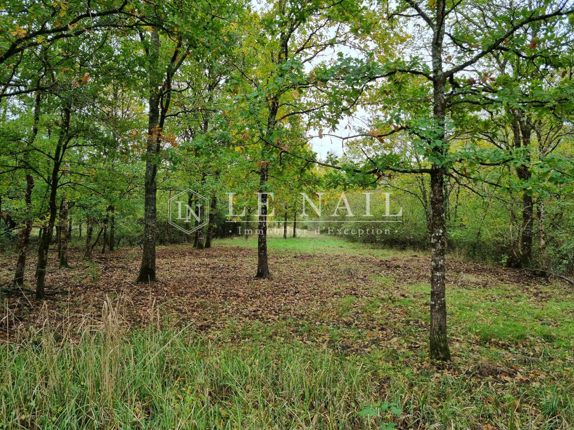 propriété 10 pièces en vente à LAMOTTE BEUVRON (41600)