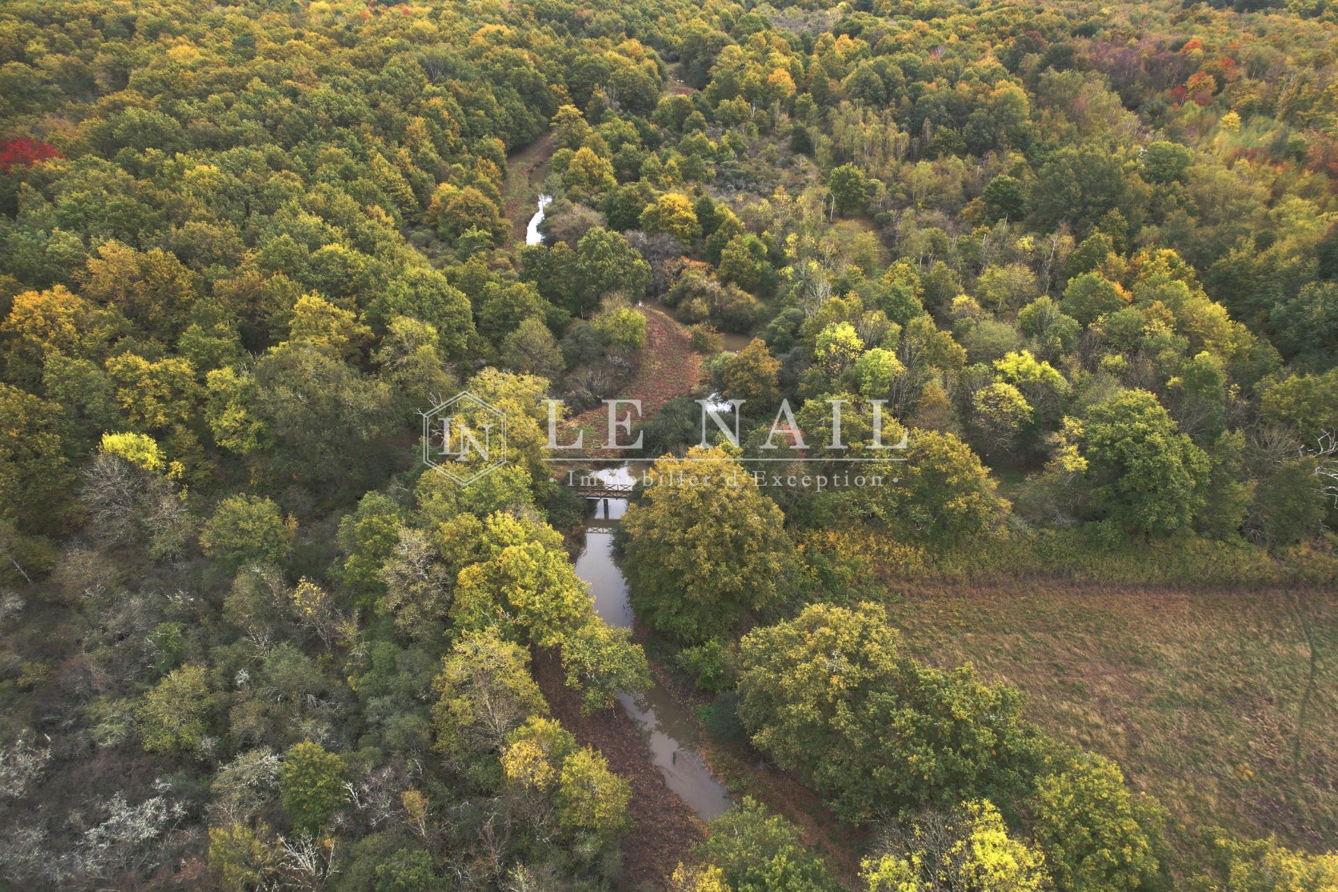 propriété 10 pièces en vente à LAMOTTE BEUVRON (41600)