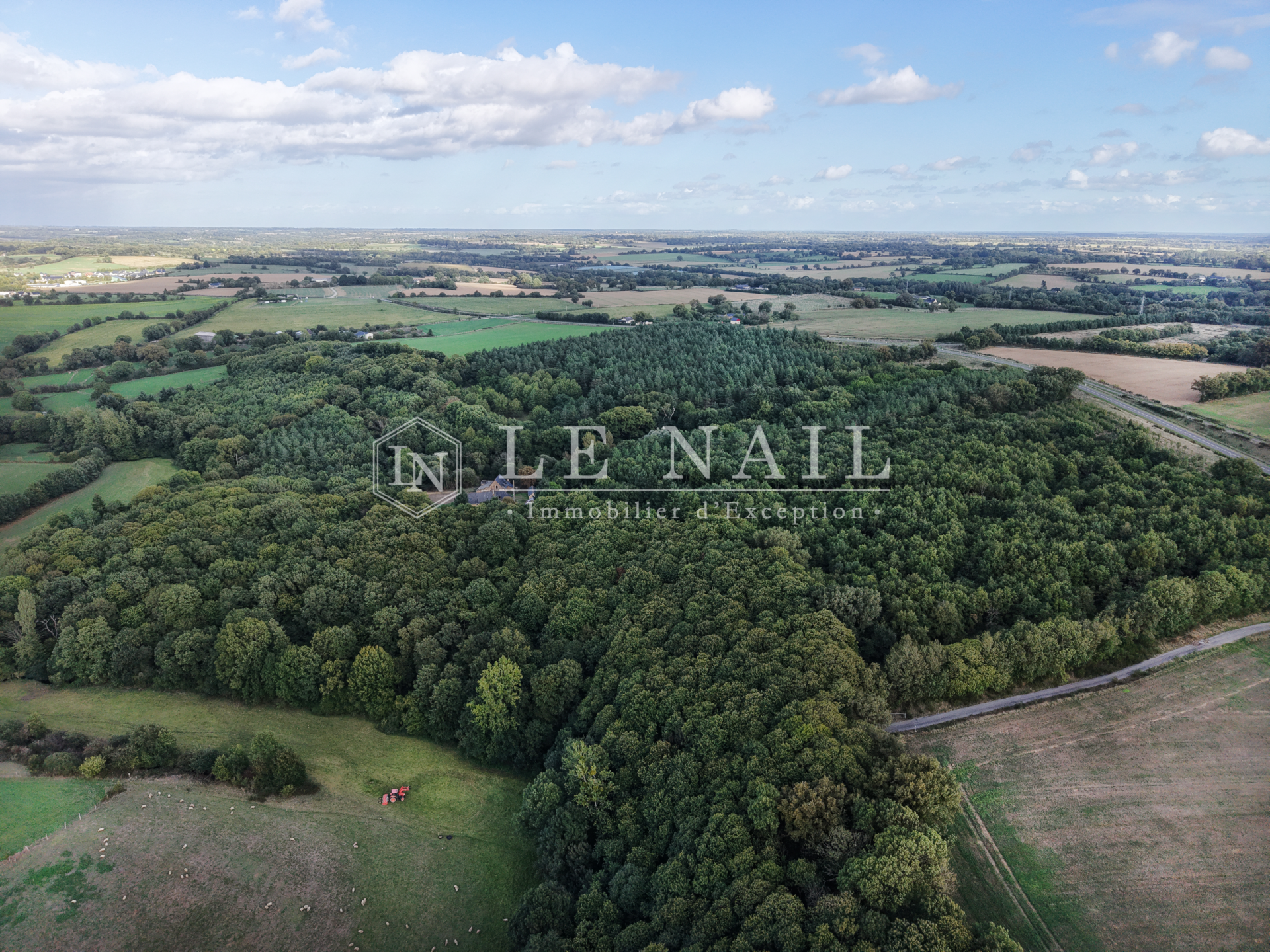 forest for sale on CHATEAU GONTIER (53200)