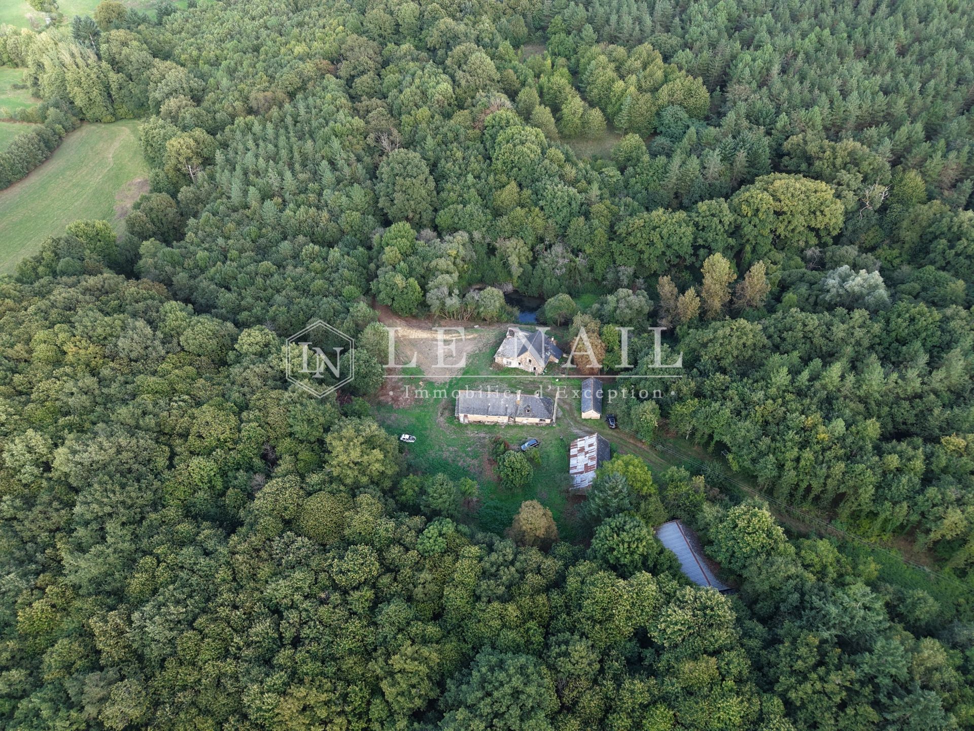 forest for sale on CHATEAU GONTIER (53200)
