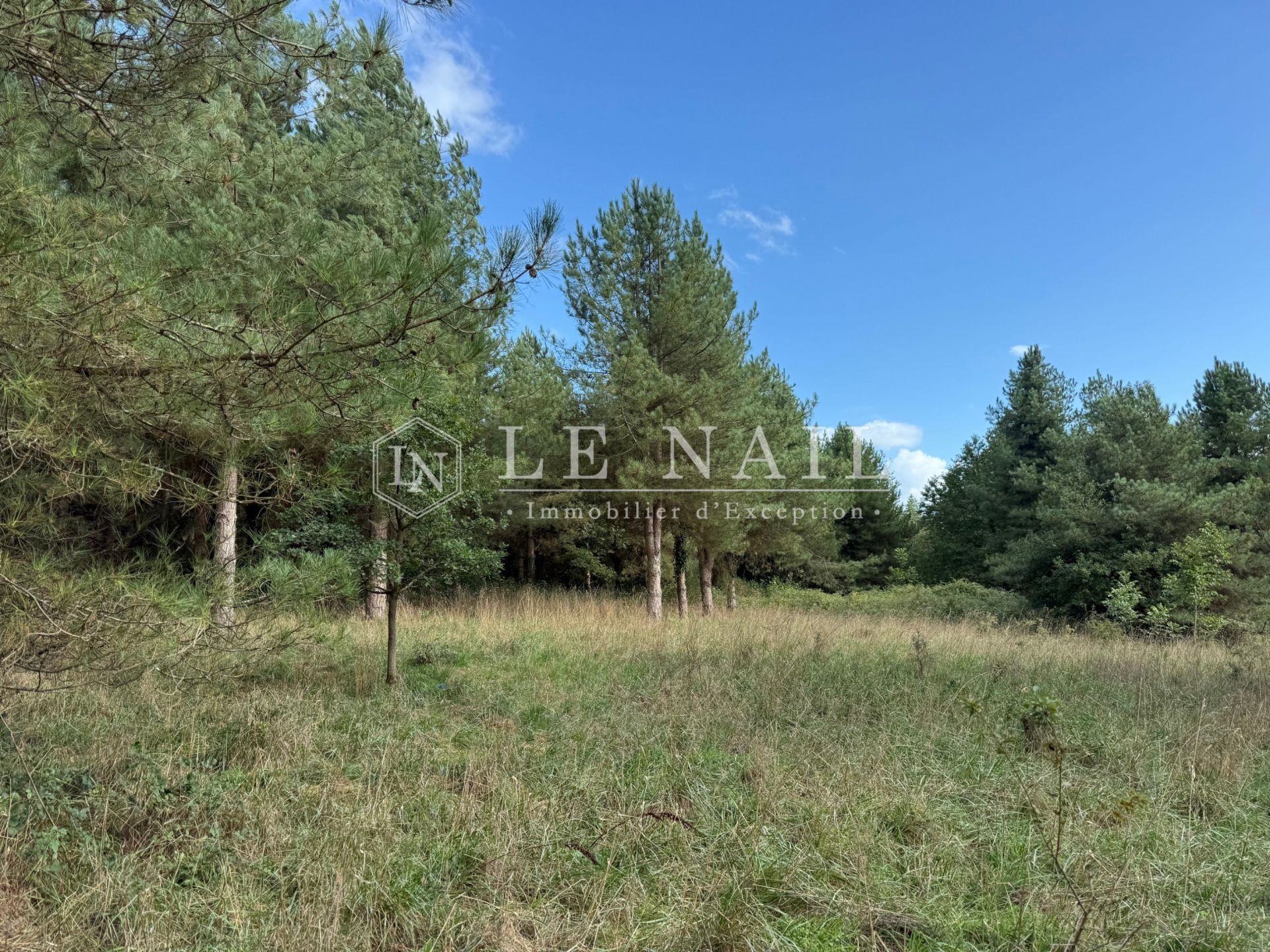 forest for sale on CHATEAU GONTIER (53200)