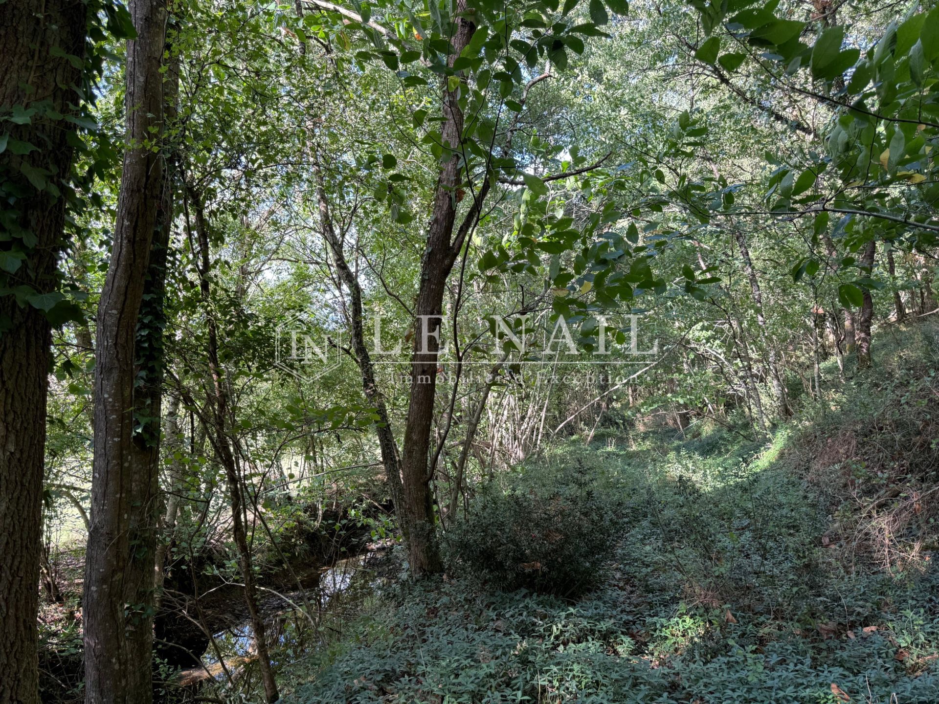 forest for sale on CHATEAU GONTIER (53200)