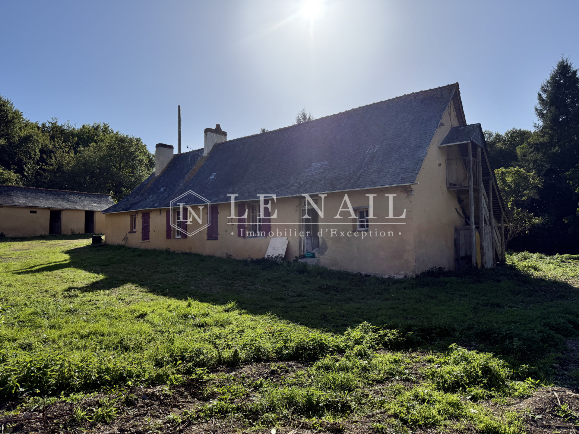 forest for sale on CHATEAU GONTIER (53200)