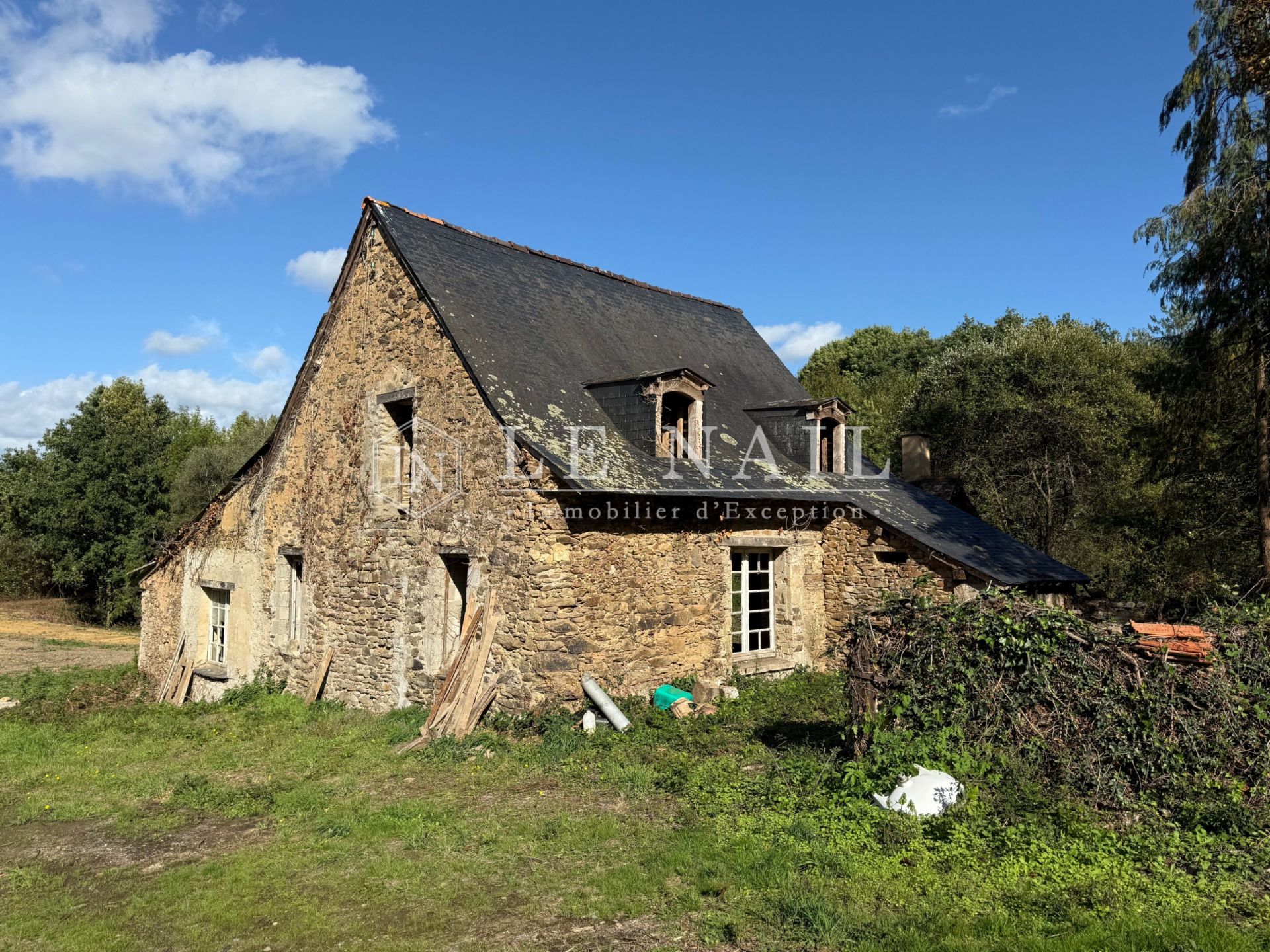 forest for sale on CHATEAU GONTIER (53200)