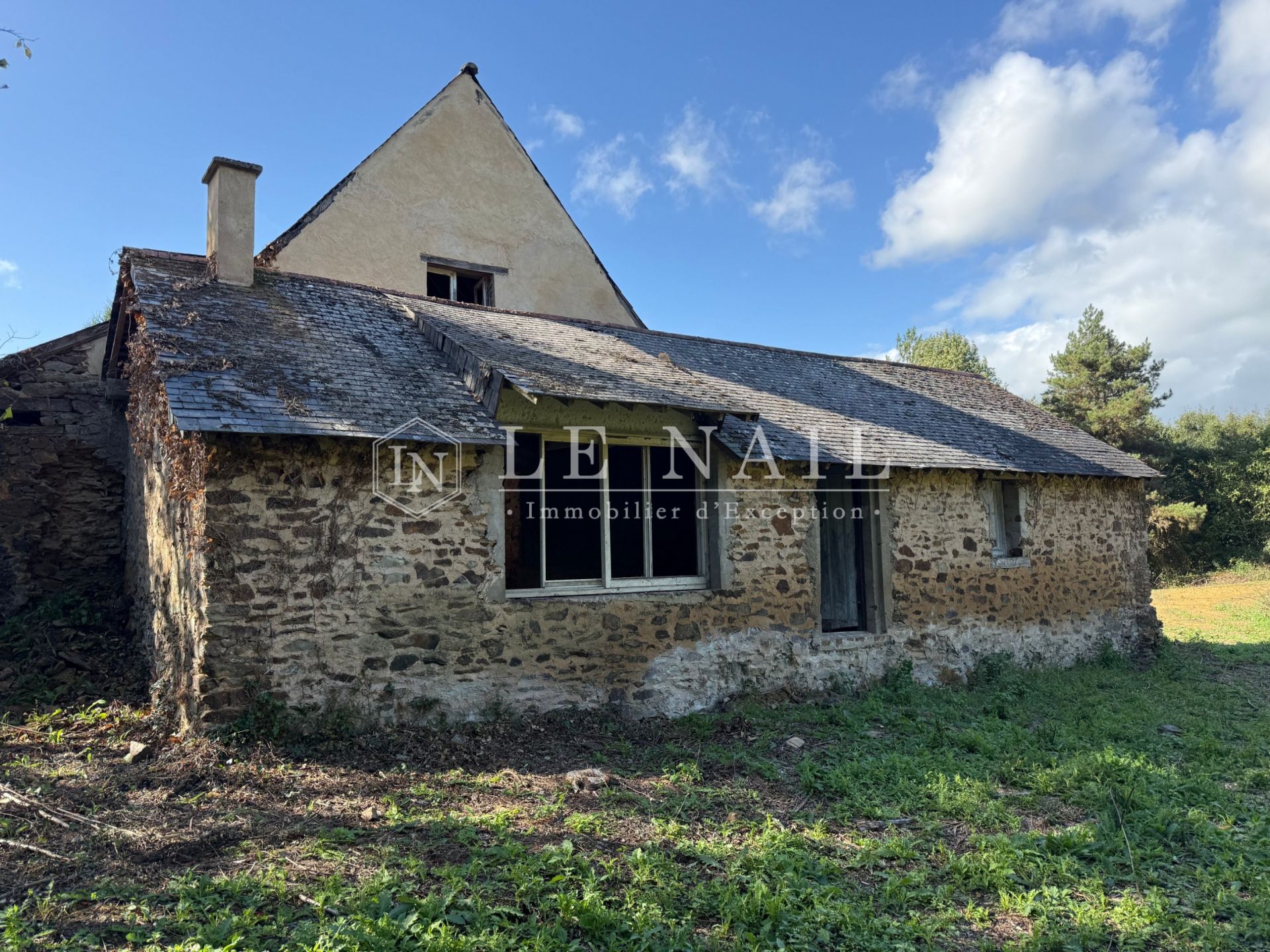 forest for sale on CHATEAU GONTIER (53200)