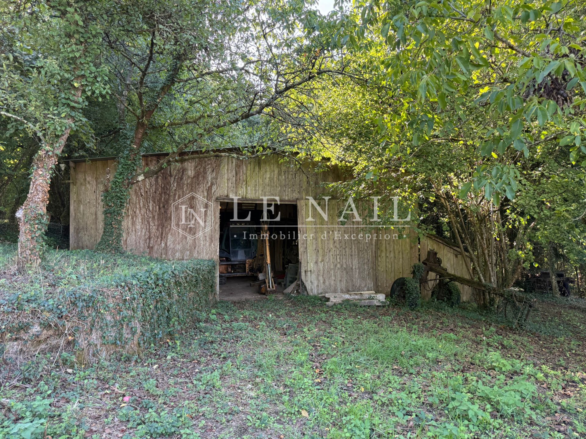forest for sale on CHATEAU GONTIER (53200)