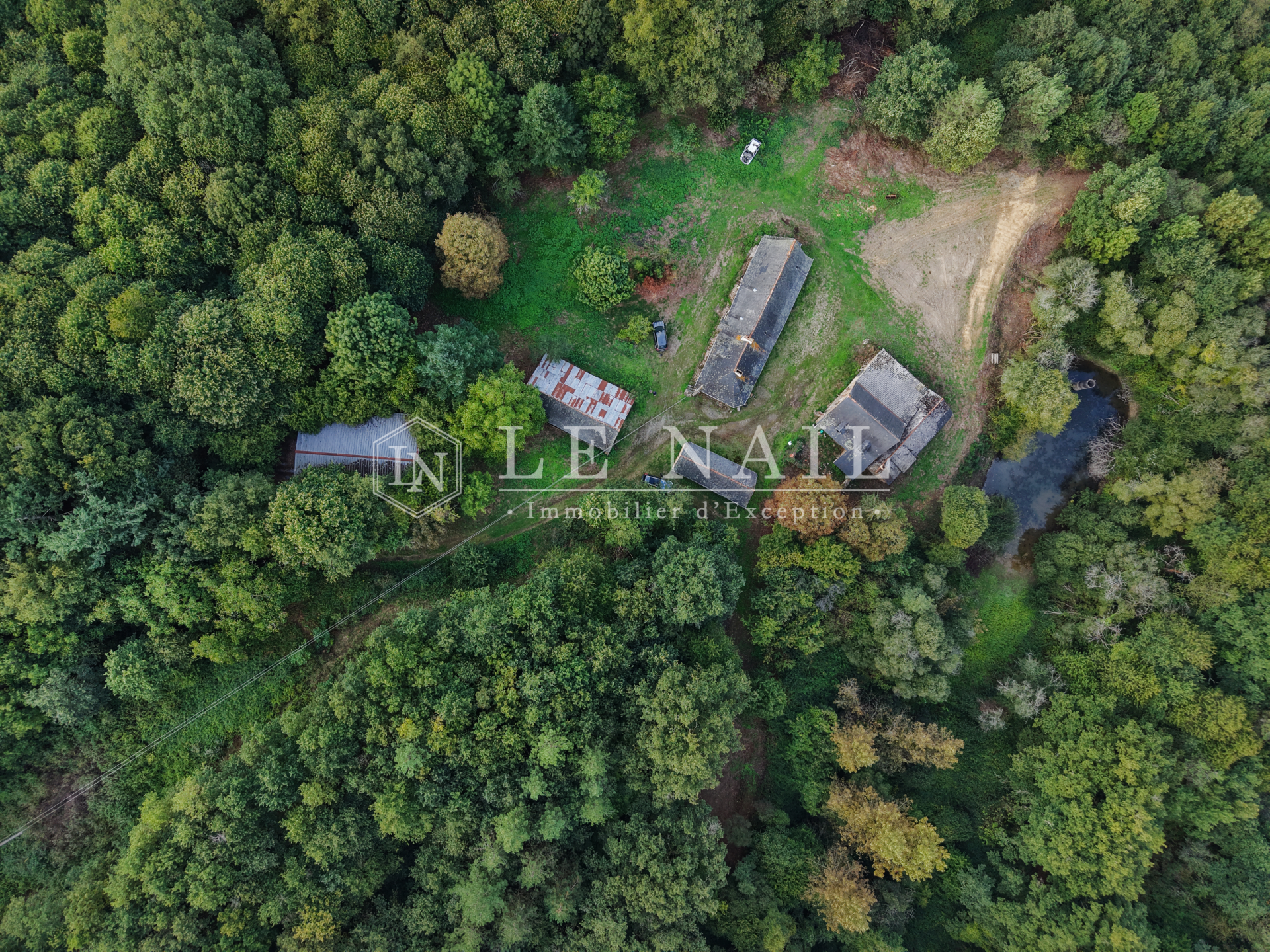 forest for sale on CHATEAU GONTIER (53200)