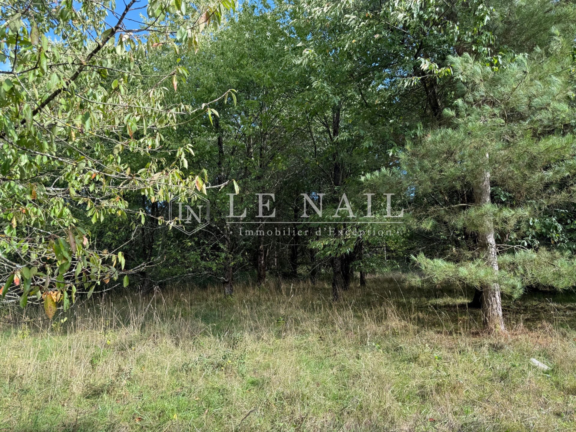 forest for sale on CHATEAU GONTIER (53200)