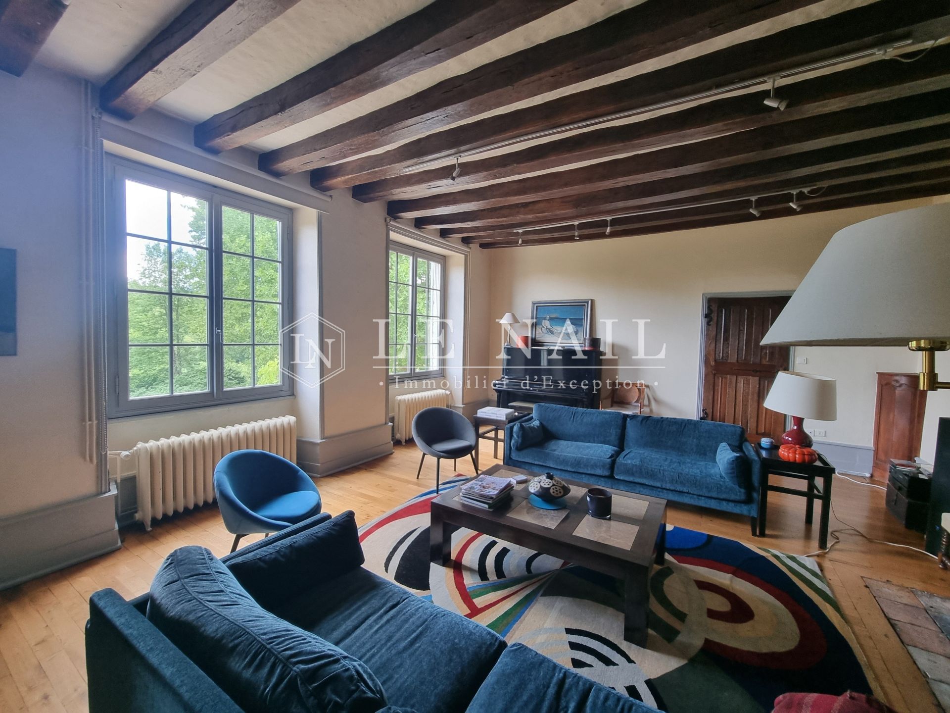manoir 13 pièces en vente à AZAY LE RIDEAU (37190)