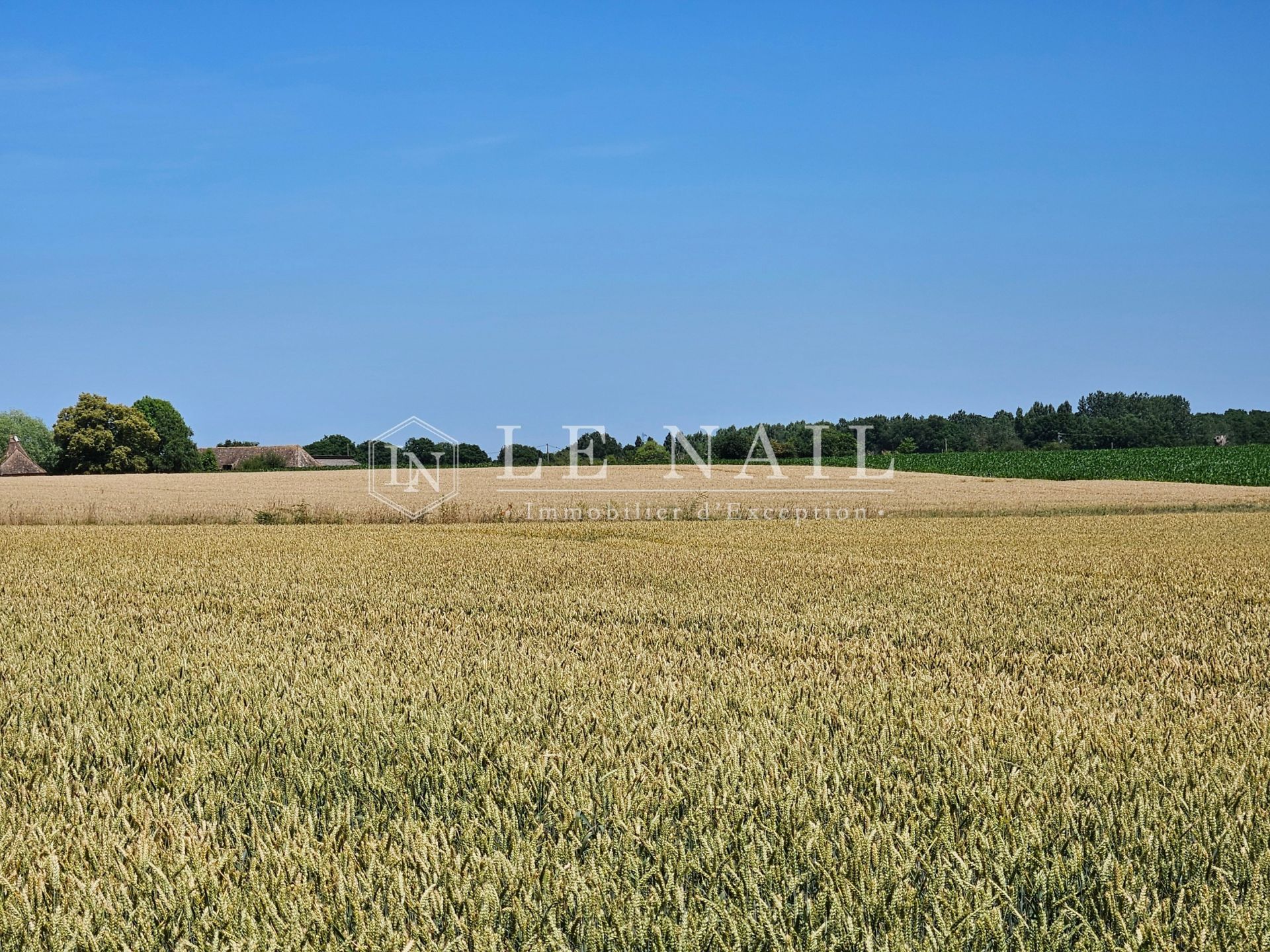 château 23 pièces en vente à LE MANS (72000)