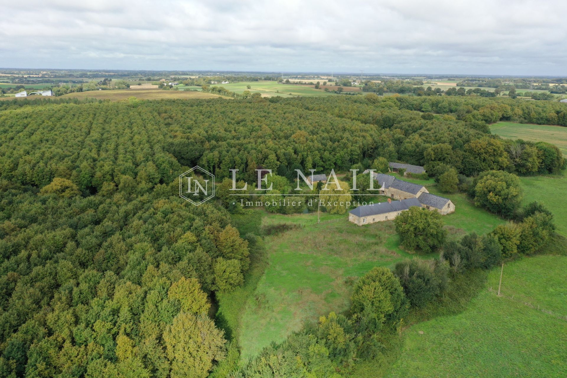 forest for sale on HOUSSAY (53360)