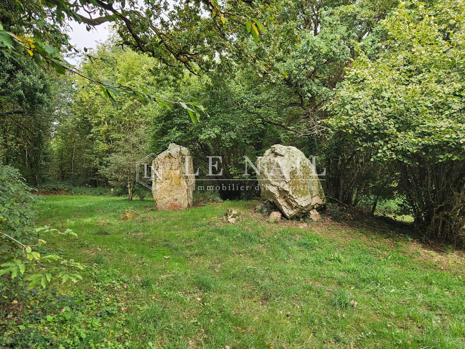 longère 8 pièces en vente à HOUSSAY (53360)