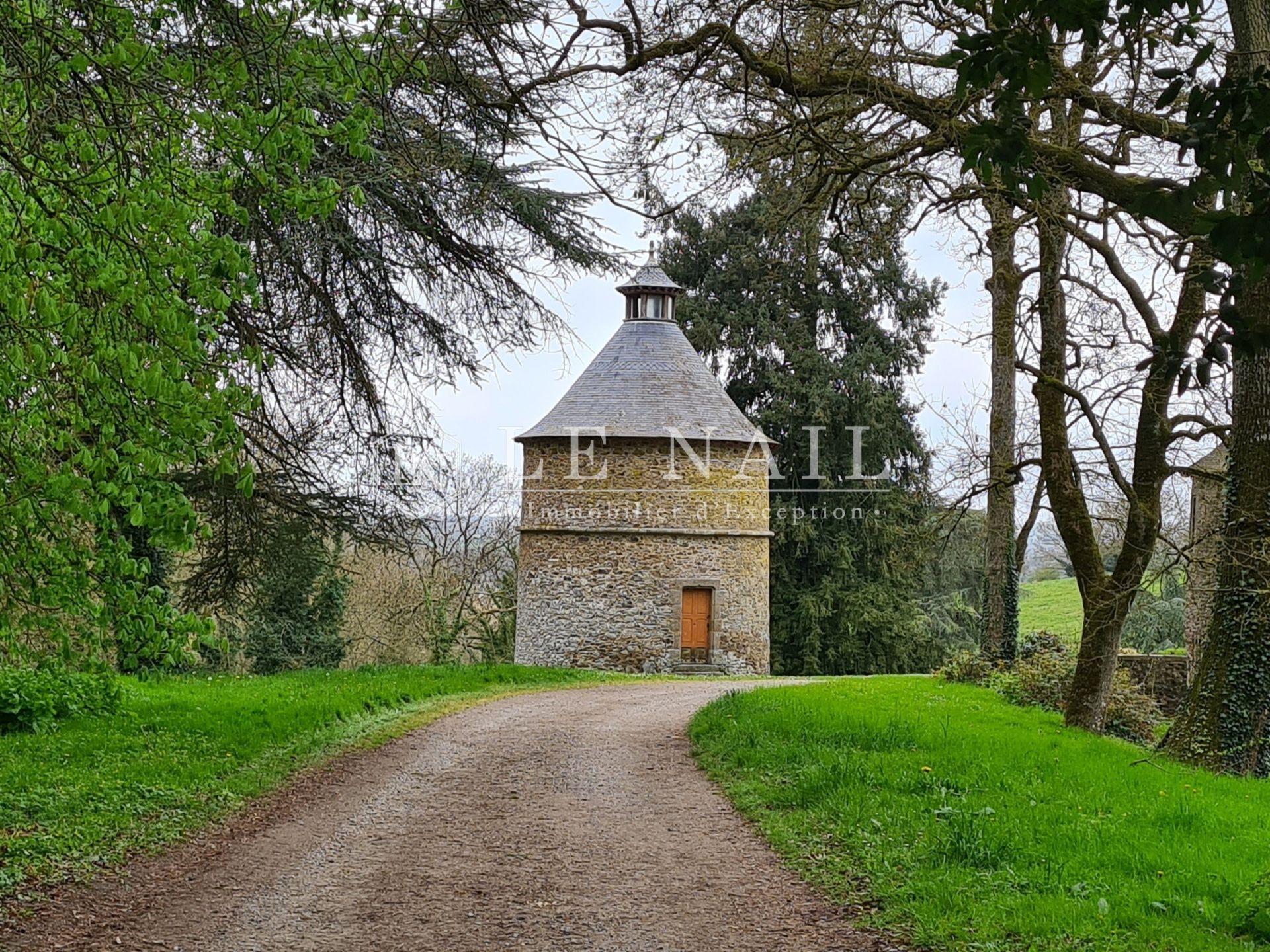 castle 25 rooms for sale on LAVAL (53000)