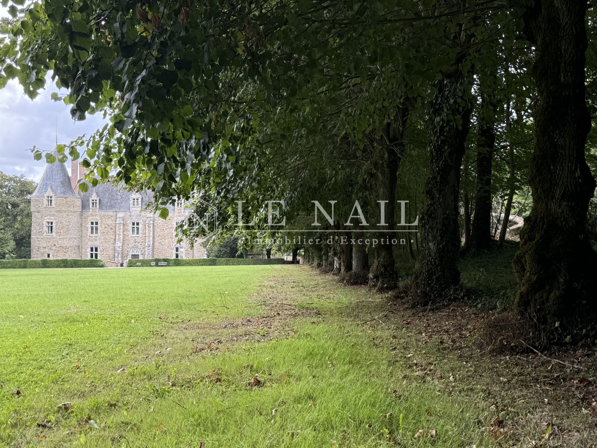 castle 25 rooms for sale on LAVAL (53000)