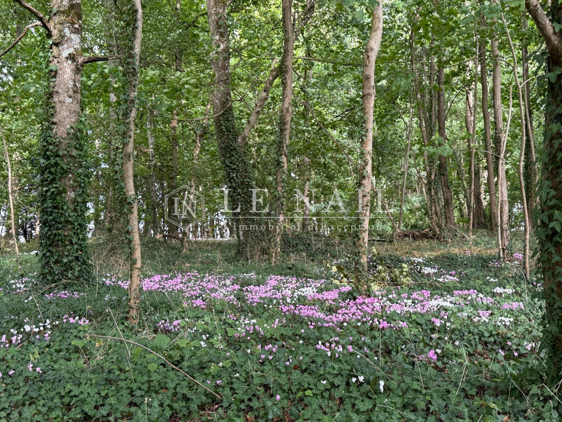 château 25 pièces en vente à LAVAL (53000)