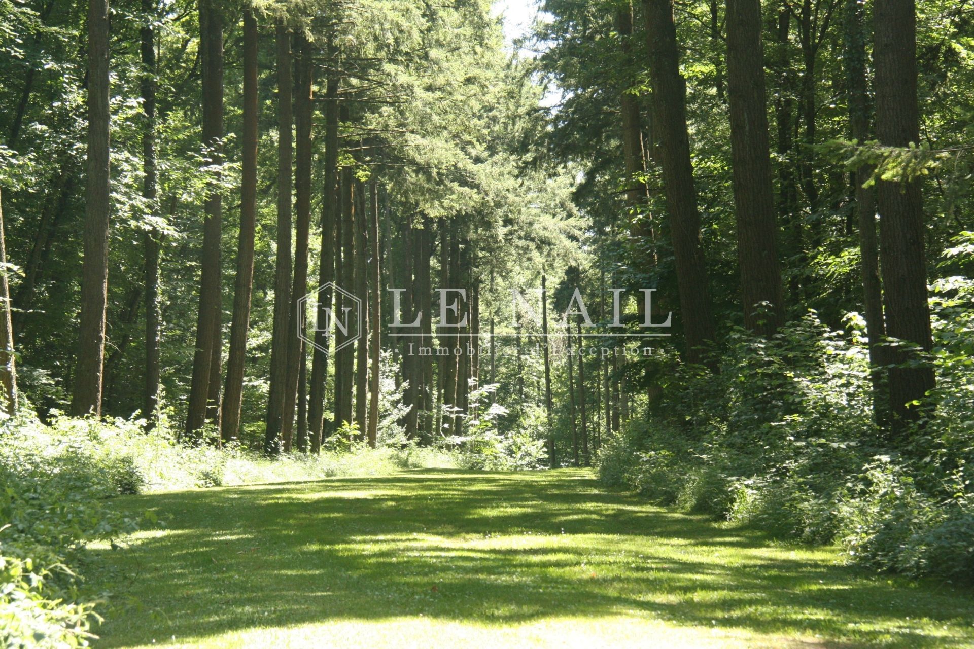 castle 22 rooms for sale on POITIERS (86000)