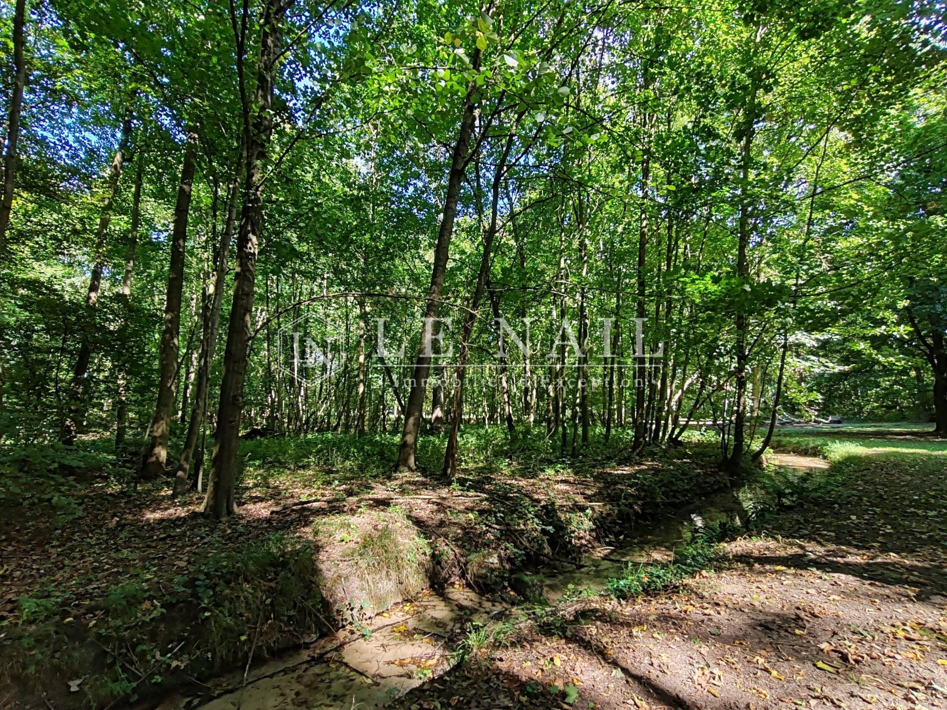 manoir 15 pièces en vente à LONGPONT SUR ORGE (91310)