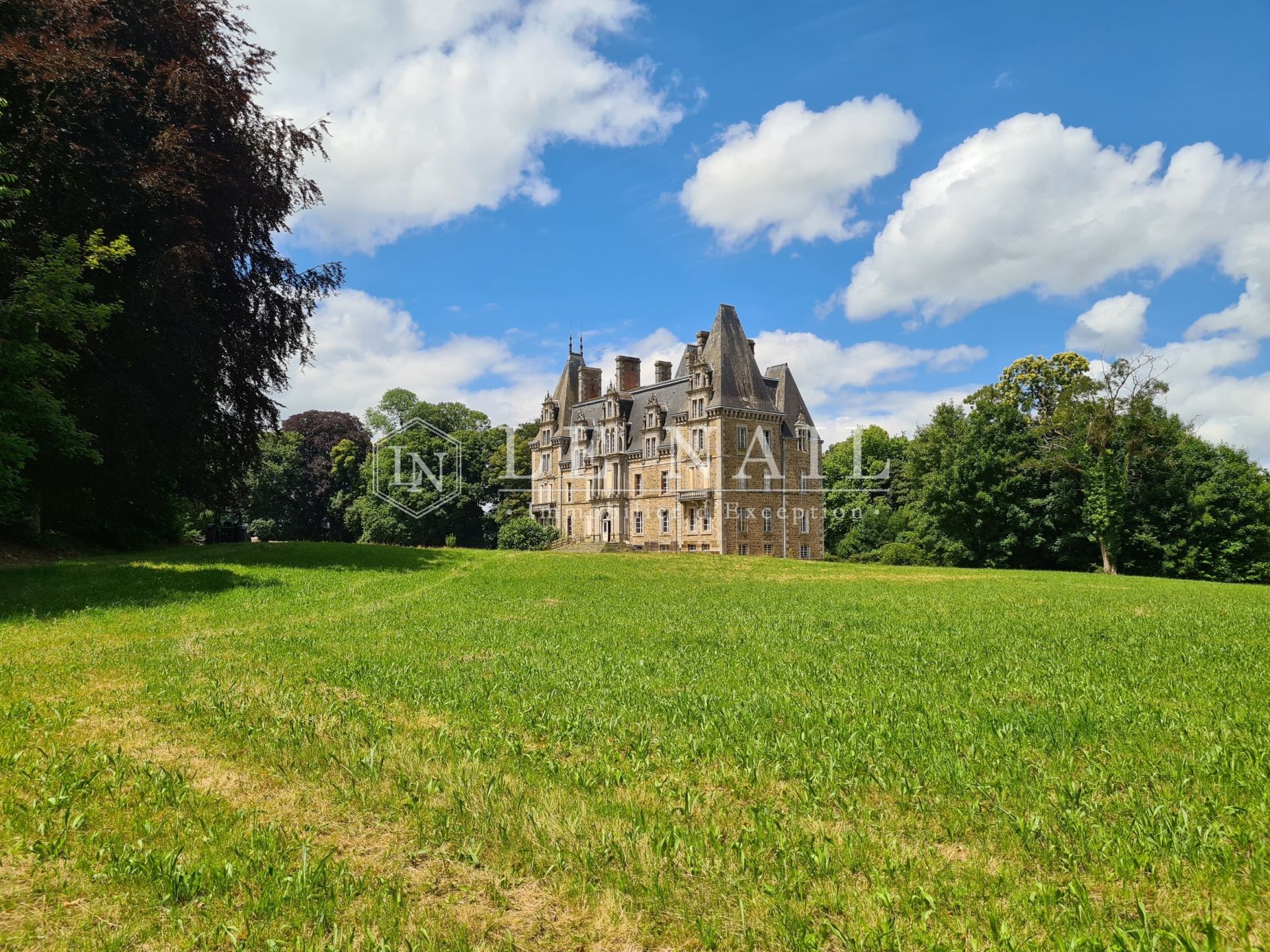 castle 14 rooms for sale on ERNEE (53500)