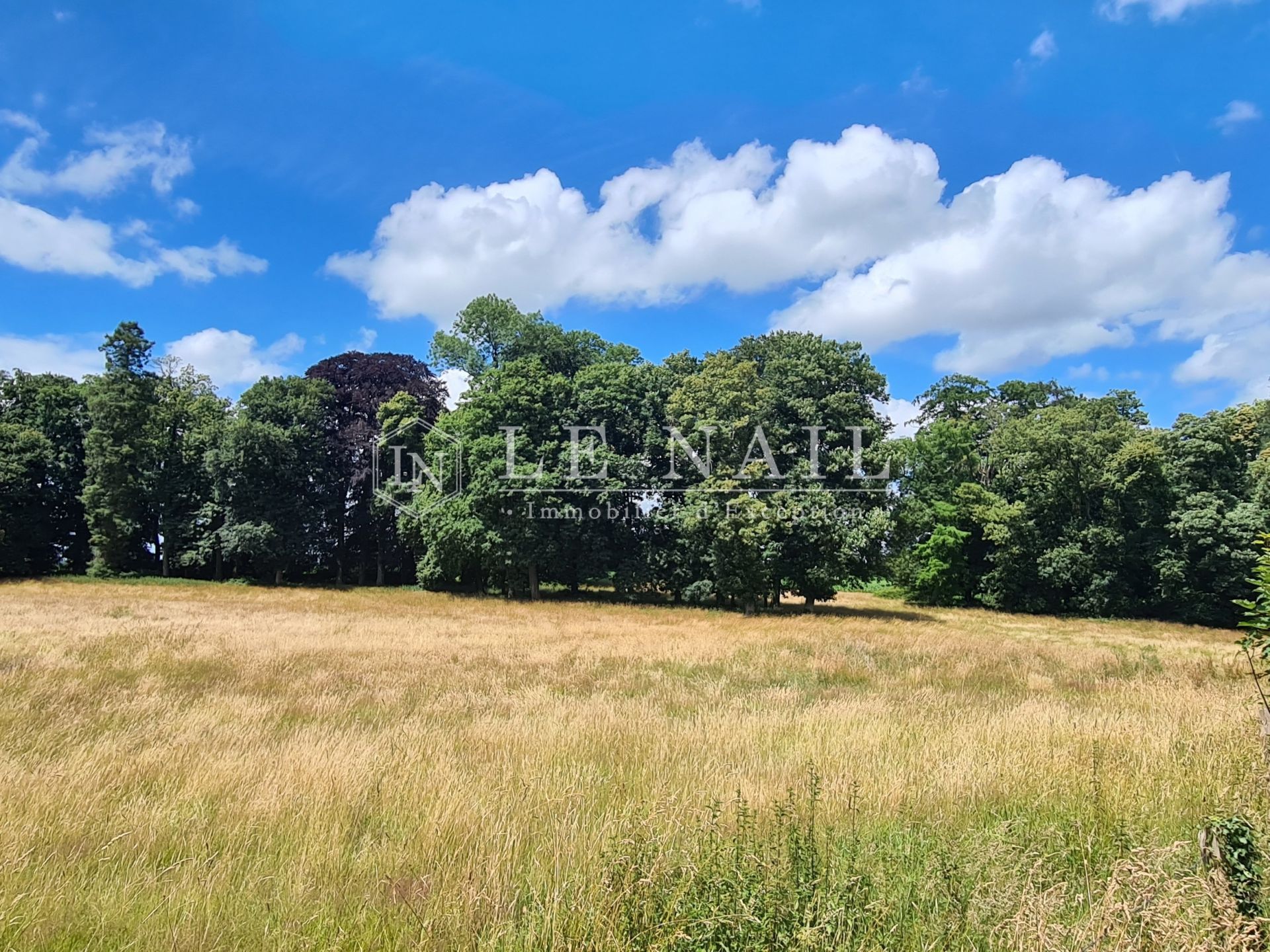 château 14 pièces en vente à ERNEE (53500)