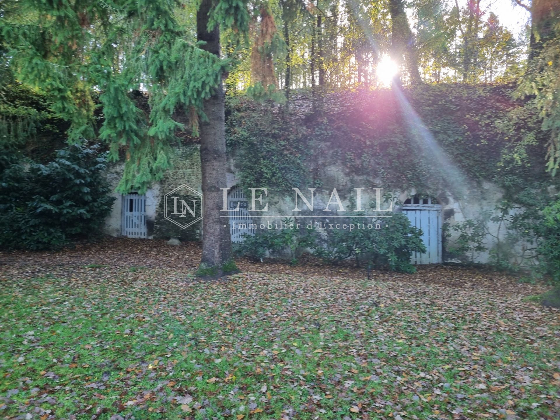 manoir 5 pièces en vente à MONTOIRE SUR LE LOIR (41800)