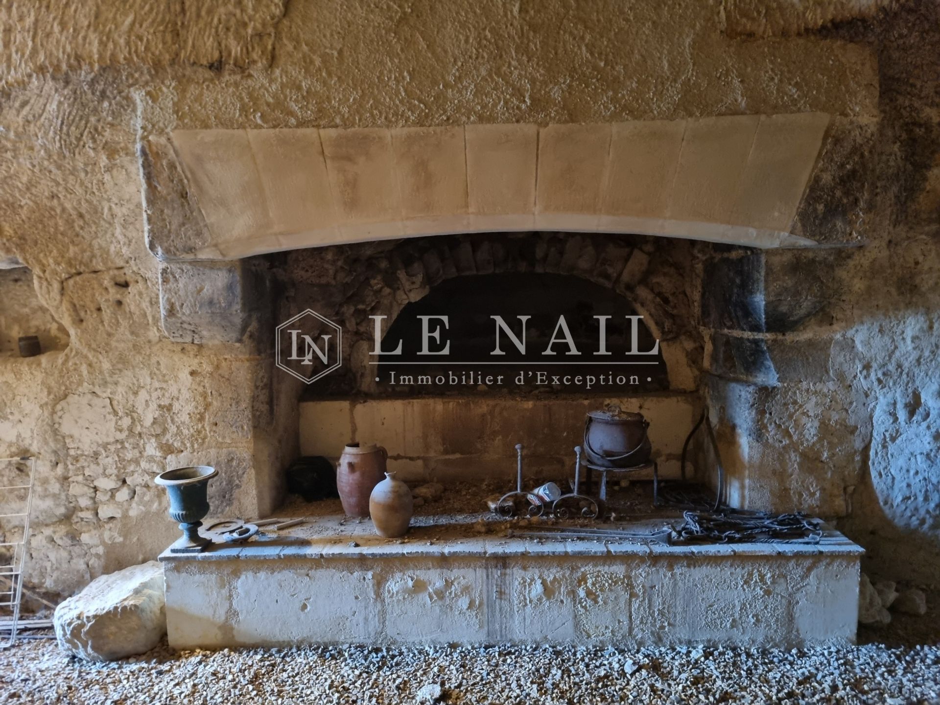 manoir 5 pièces en vente à MONTOIRE SUR LE LOIR (41800)