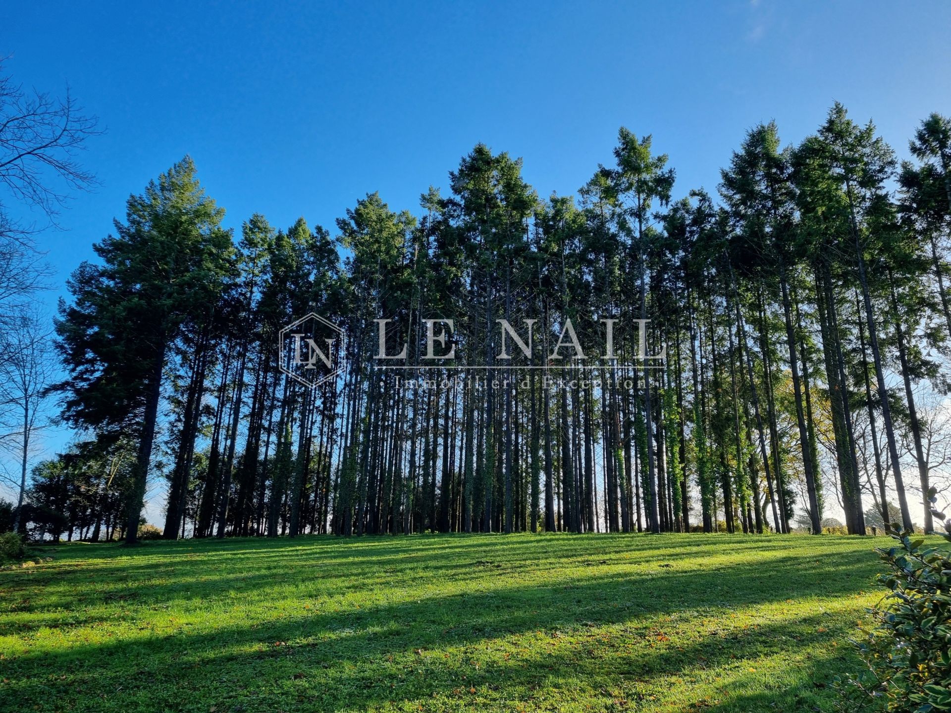 manoir 5 pièces en vente à MONTOIRE SUR LE LOIR (41800)