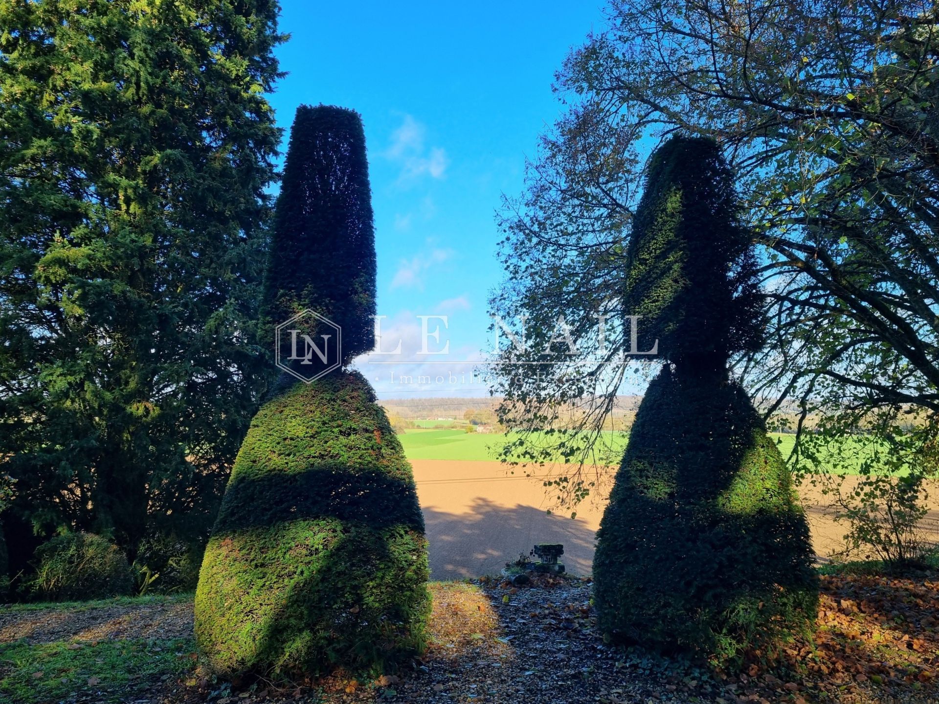 manoir 5 pièces en vente à MONTOIRE SUR LE LOIR (41800)