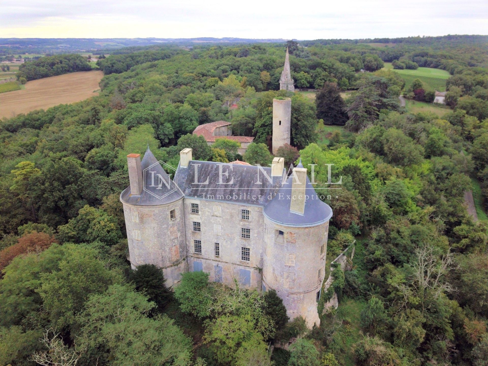 castle 16 rooms for sale on AGEN (47000)