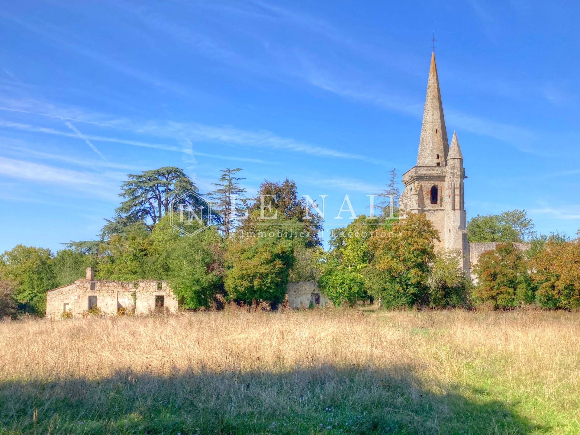 castle 16 rooms for sale on AGEN (47000)