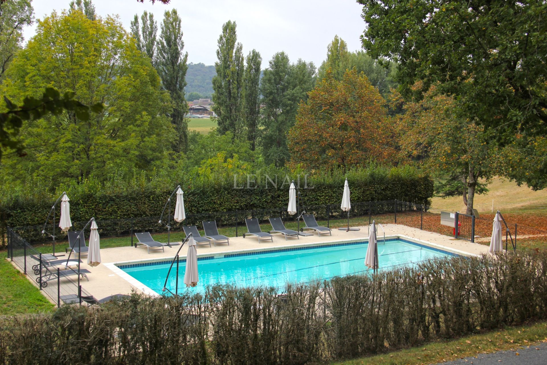 castle 30 rooms for sale on MONTIGNAC (24290)