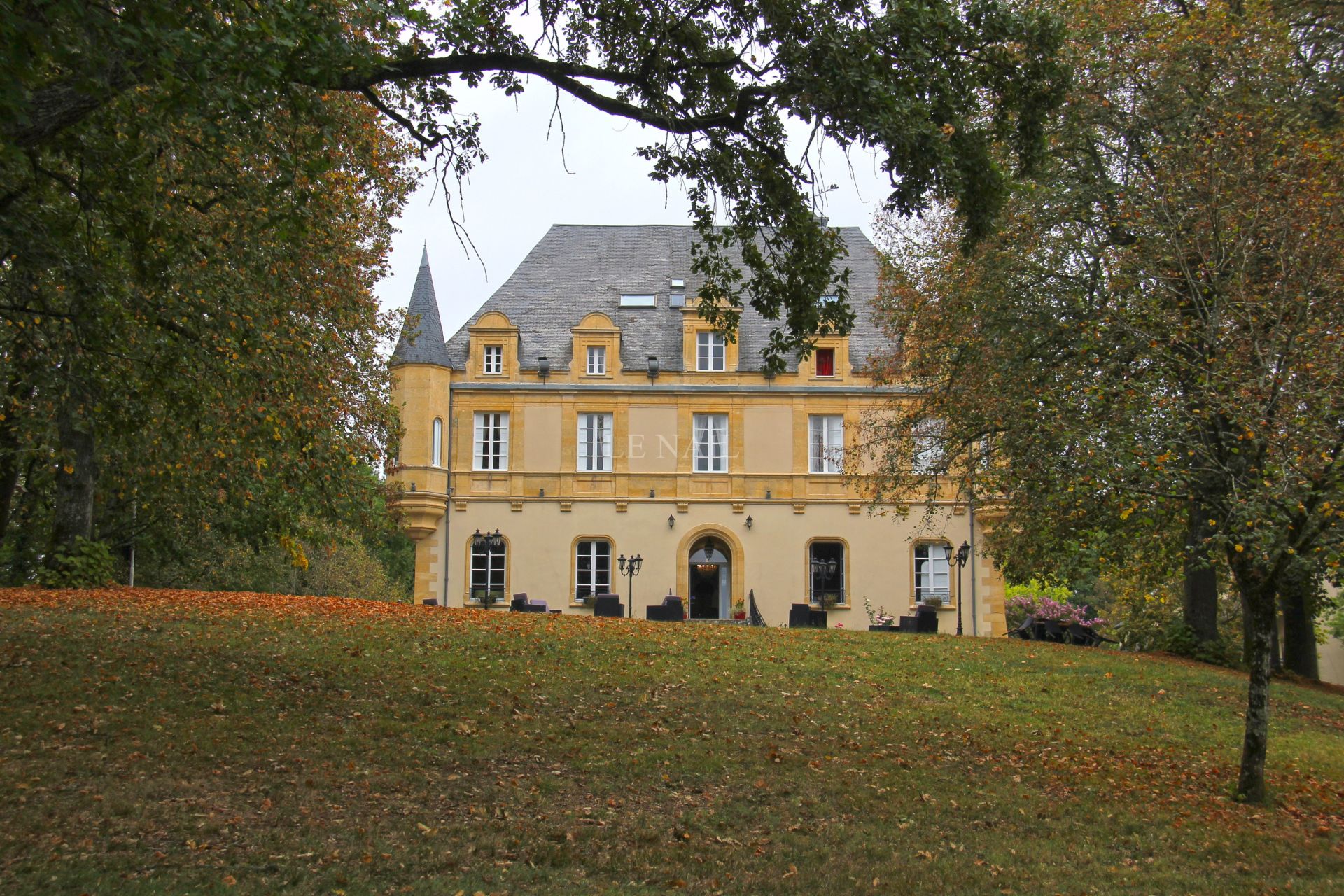 castle 30 rooms for sale on MONTIGNAC (24290)