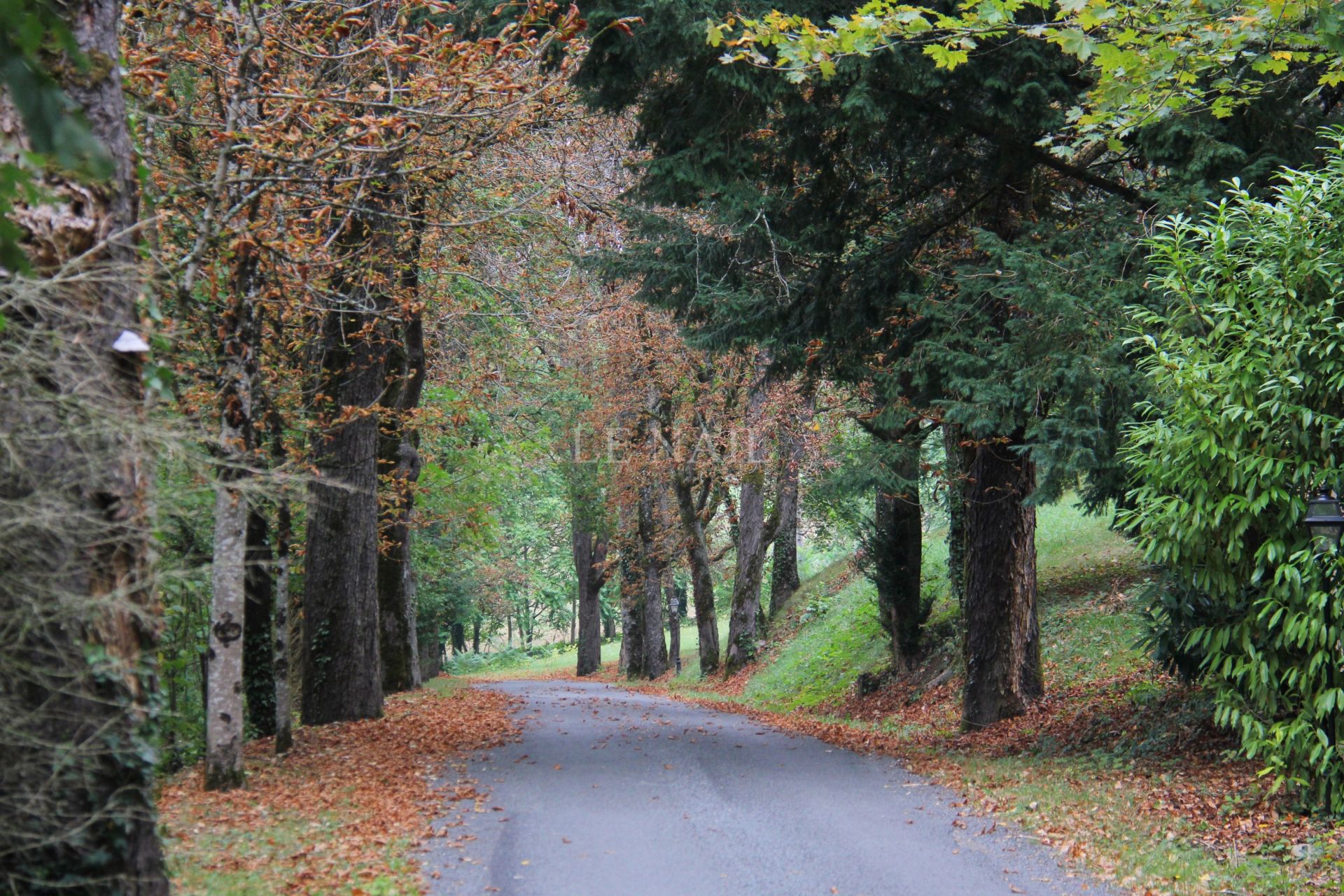 castle 30 rooms for sale on MONTIGNAC (24290)