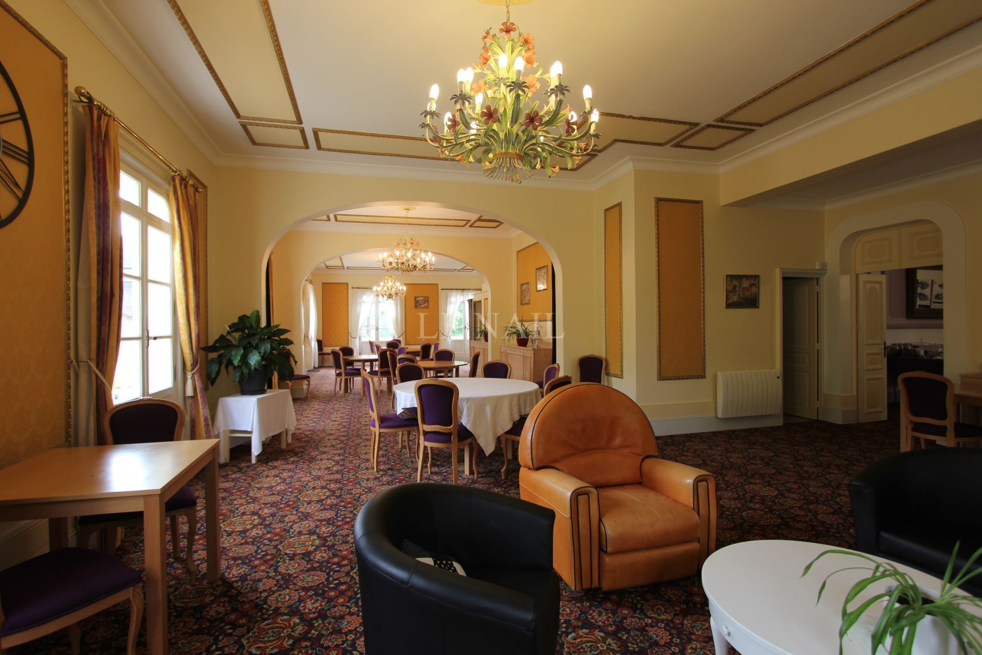 castle 30 rooms for sale on MONTIGNAC (24290)