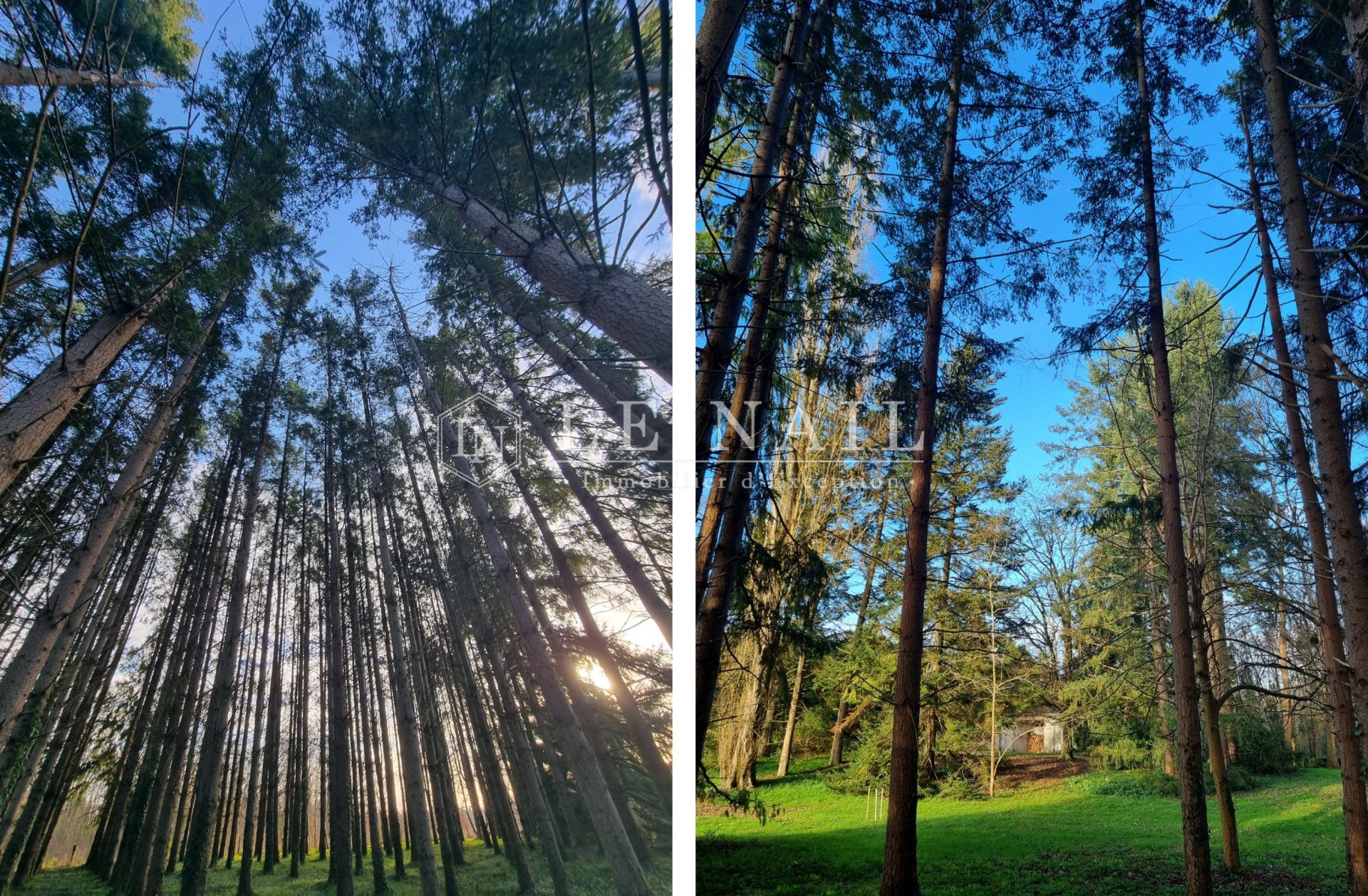 maison 7 pièces en vente à LANGEAIS (37130)