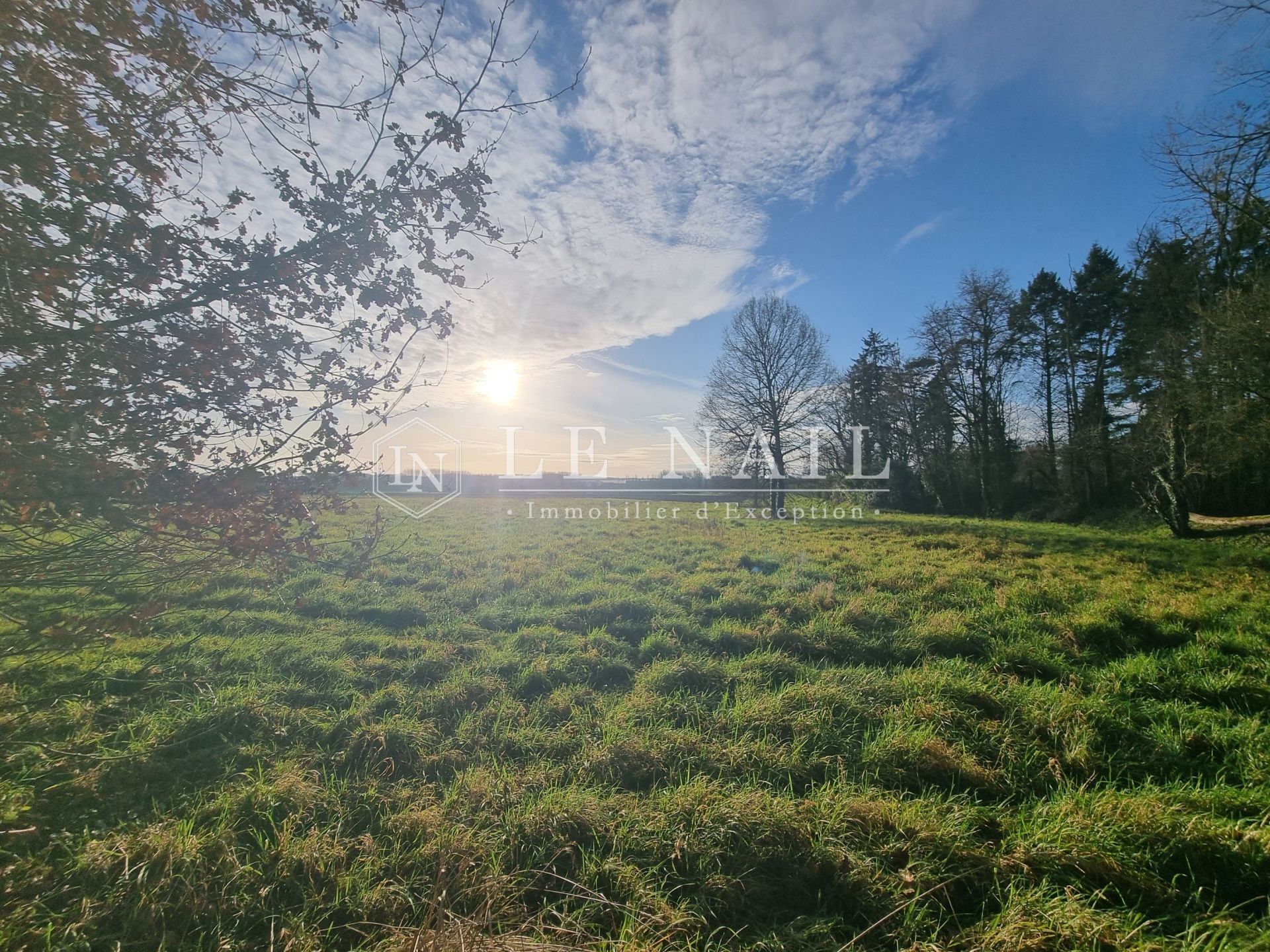 maison 7 pièces en vente à LANGEAIS (37130)