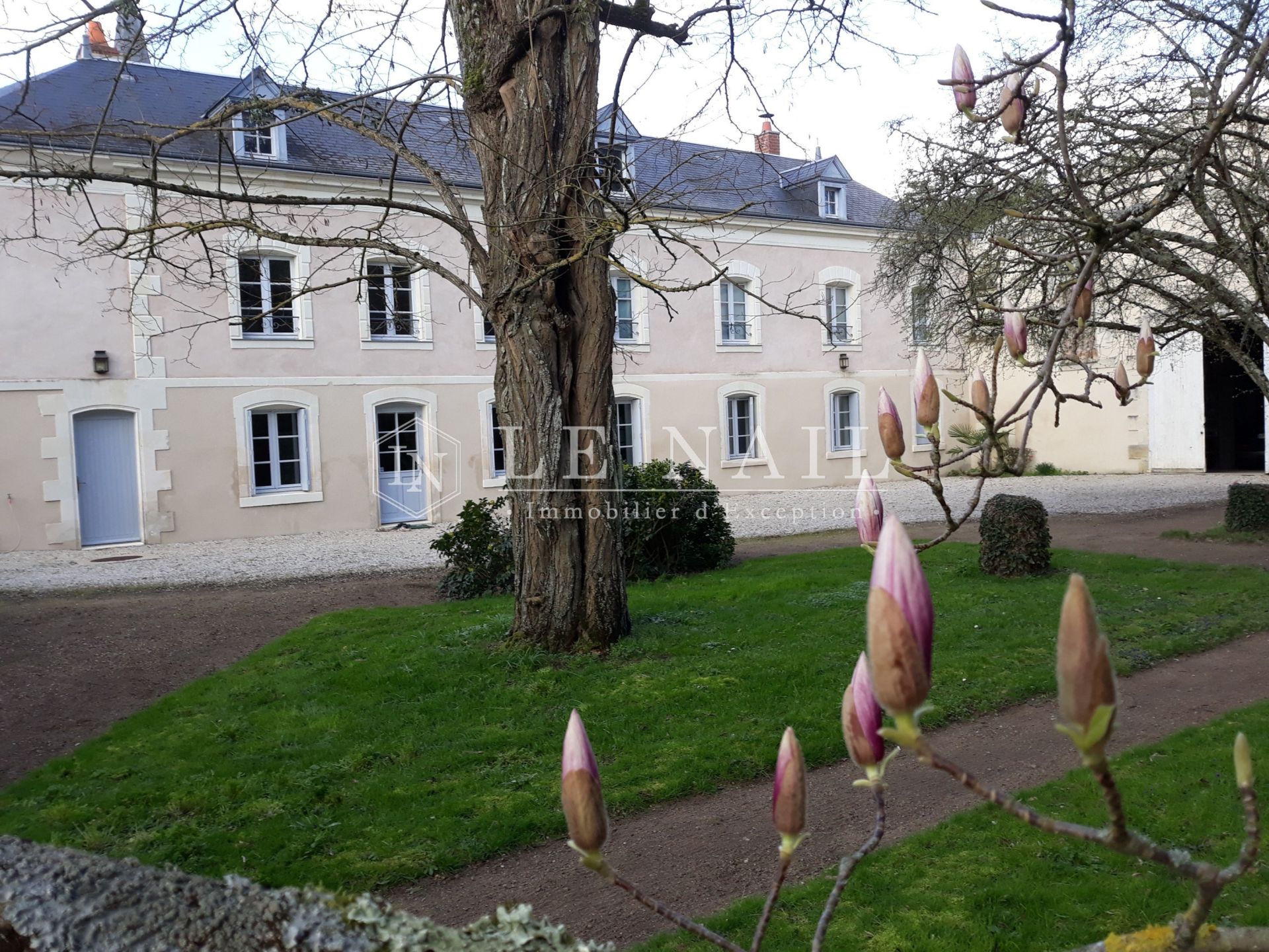 house 7 rooms for sale on LANGEAIS (37130)