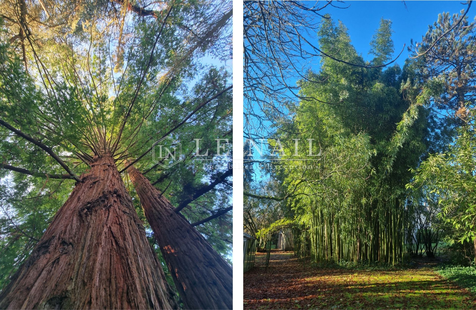 maison 7 pièces en vente à LANGEAIS (37130)